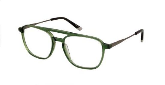 Picture of Psycho Bunny Eyeglasses PB 102