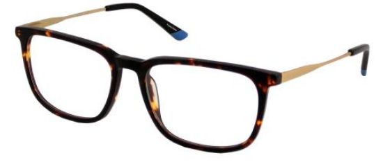 Picture of Psycho Bunny Eyeglasses PB 104