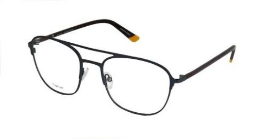 Picture of Psycho Bunny Eyeglasses PB 107