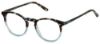 Picture of Tony Hawk Eyeglasses TH 554