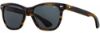 Picture of American Optical Sunglasses Saratoga