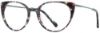 Picture of Scott Harris Eyeglasses SH-X 001