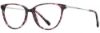 Picture of Scott Harris Eyeglasses SH-X 003