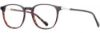Picture of Scott Harris Eyeglasses SH-X 004