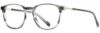 Picture of Scott Harris Eyeglasses SH-X 004