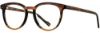 Picture of Scott Harris Eyeglasses SH-706