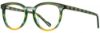 Picture of Scott Harris Eyeglasses SH-706