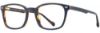 Picture of Scott Harris Eyeglasses SH-704