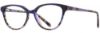 Picture of Scott Harris Eyeglasses SH-686