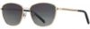 Picture of INVU Sunglasses INVU- 229