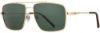 Picture of INVU Sunglasses INVU- 231