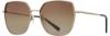 Picture of INVU Sunglasses INVU- 233