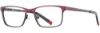 Picture of db4k Eyeglasses Champ
