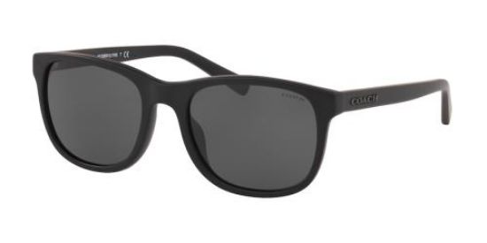 Picture of Coach Sunglasses HC8283U
