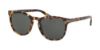 Picture of Coach Sunglasses HC8284