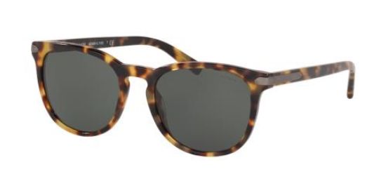 Picture of Coach Sunglasses HC8284