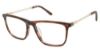 Picture of Champion Eyeglasses START