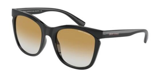 Picture of Armani Exchange Sunglasses AX4109S