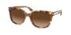 Picture of Coach Sunglasses HC8132