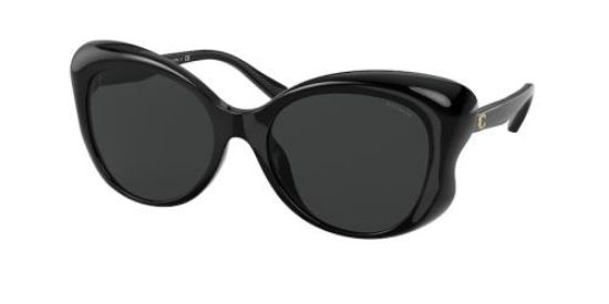 Picture of Coach Sunglasses HC8307U