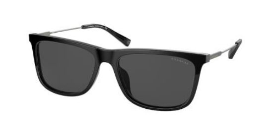Picture of Coach Sunglasses HC8310U