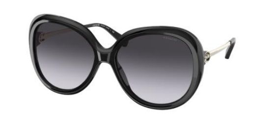 Picture of Coach Sunglasses HC8314F