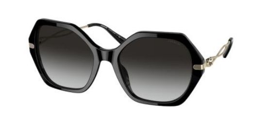 Picture of Coach Sunglasses HC8315F