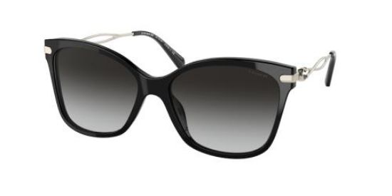 Picture of Coach Sunglasses HC8316F