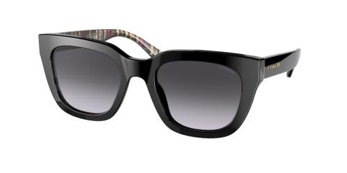 Picture of Coach Sunglasses HC8318