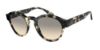 Picture of Giorgio Armani Sunglasses AR8146