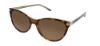 Picture of Bcbgmaxazria Sunglasses DISTRACTION