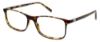 Picture of Bcbgmaxazria Eyeglasses MIRELLA