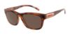 Picture of Arnette Sunglasses AN4284