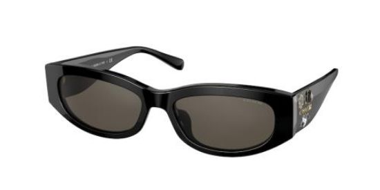 Picture of Coach Sunglasses HC8302BU