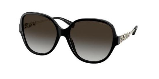 Picture of Coach Sunglasses HC8303B