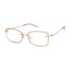 Picture of Charmant Eyeglasses TI 16704