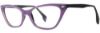 Picture of State Optical Eyeglasses Bellevue