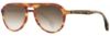 Picture of State Optical Sunglasses Diversey