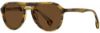 Picture of State Optical Sunglasses Diversey