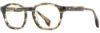Picture of State Optical Eyeglasses Kildare