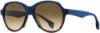 Picture of State Optical Sunglasses Reunion