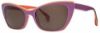 Picture of State Optical Sunglasses Wabash