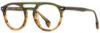 Picture of State Optical Eyeglasses Webster