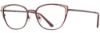 Picture of Cinzia Eyeglasses CIN-5107