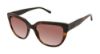Picture of Elizabeth Arden Sunglasses EA 5279