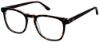 Picture of New Balance Eyeglasses NB 526