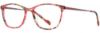 Picture of Scott Harris Eyeglasses SH-742