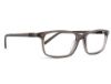Picture of Rip Curl Eyeglasses RIP CURL-RC 2053