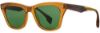 Picture of State Optical Sunglasses Dewitt