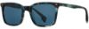 Picture of State Optical Sunglasses Franklin